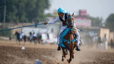 How Can One Learn Tent Pegging?