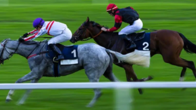 What are the Biggest Thoroughbred Horse Races in the World?