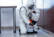 Practical Solutions for Pest Control in Melbourne