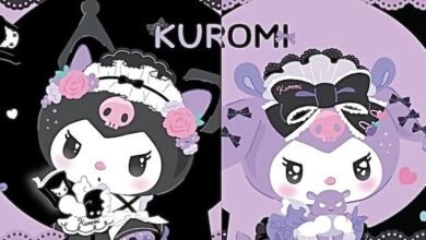 Aesthetic:-Ryn5v6plze= Pfp:6xpfez5dkii= Kuromi