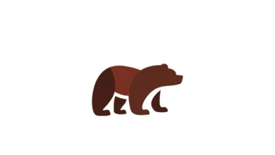 Logo:0ufgilgzft0= Bears