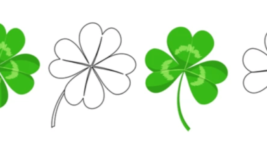 Outline:0gy9fqn8idw= Clover Clipart