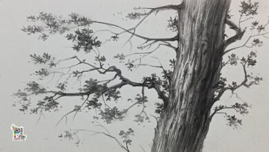 Art:7su8juzd_Nq= Tree Branch