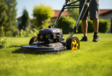 Tips for Maintaining a Healthy Lawn Year-Round