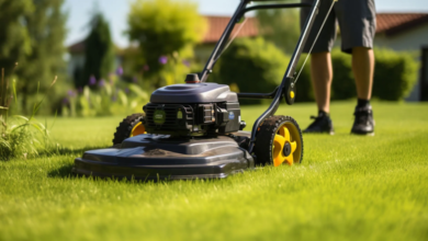 Tips for Maintaining a Healthy Lawn Year-Round