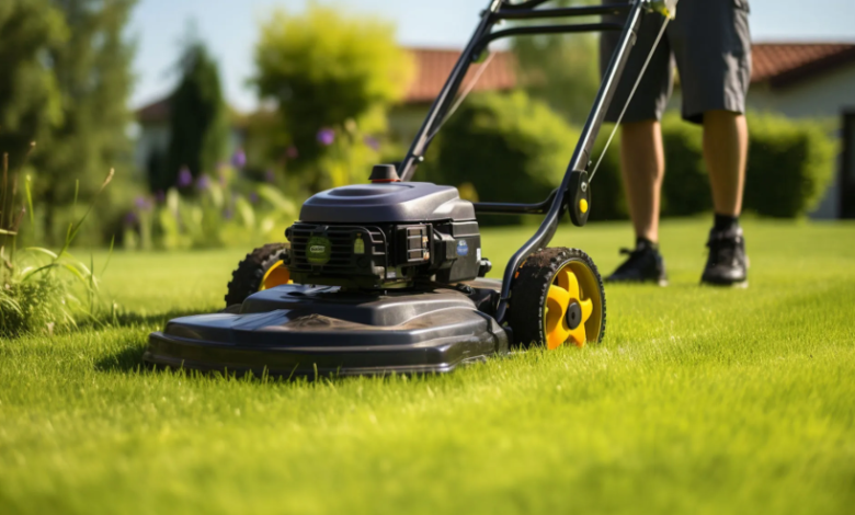 Tips for Maintaining a Healthy Lawn Year-Round