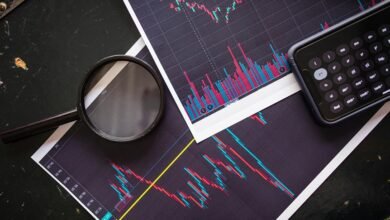 investment potential assessment metrics