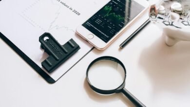 investment review for entities